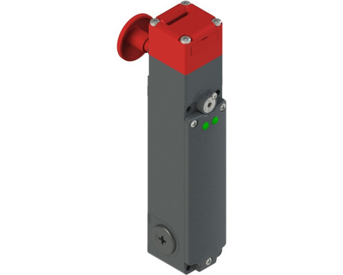 FG 60AD7D0A Pizzato Elettrica Защитный выключатель с соленоидом и отдельным актуатором
