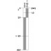 3SE5112-0CC02