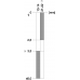 3SE5212-0BB01